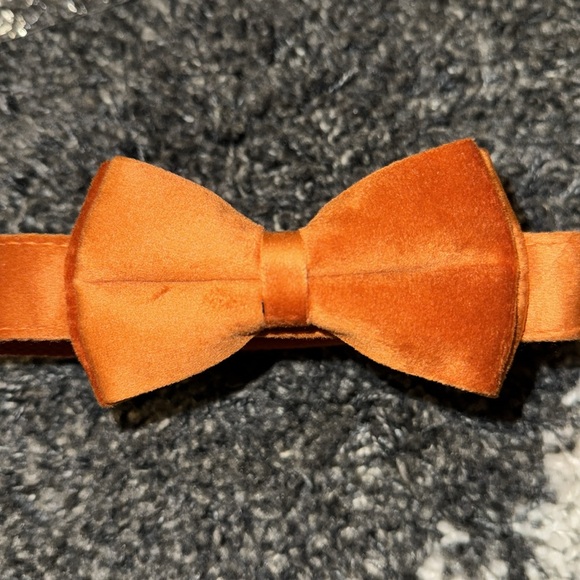 10 for $15 SALE ⭐️ Burnt orange velvet bow tie dog collar for a large dog - Picture 1 of 5